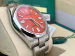 Oyster Perpetual Coral Red Dial 41mm | Unworn/Brand New